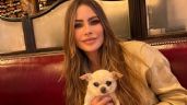El curioso motivo por el que Sofía Vergara le dejó el perro a su ex tras el divorcio